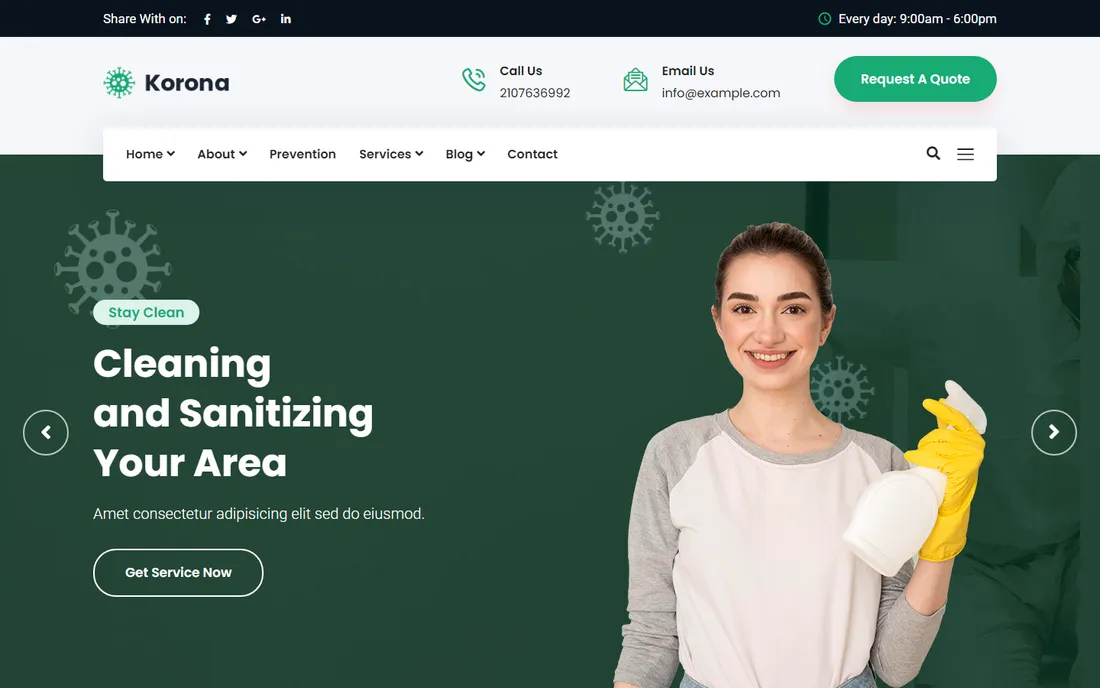 Cleaning services website design